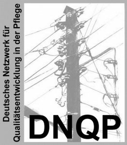 Logo DNQP 262x300