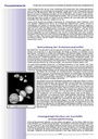 carelit_200611_5.jpg