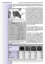 carelit_200578_4.jpg