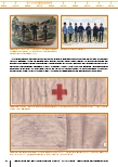 carelit_233839_2.jpg