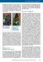 carelit_201366_6.jpg