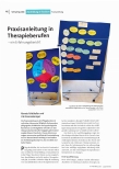 [doc_231927] Praxisanleitung in Therapieberufen