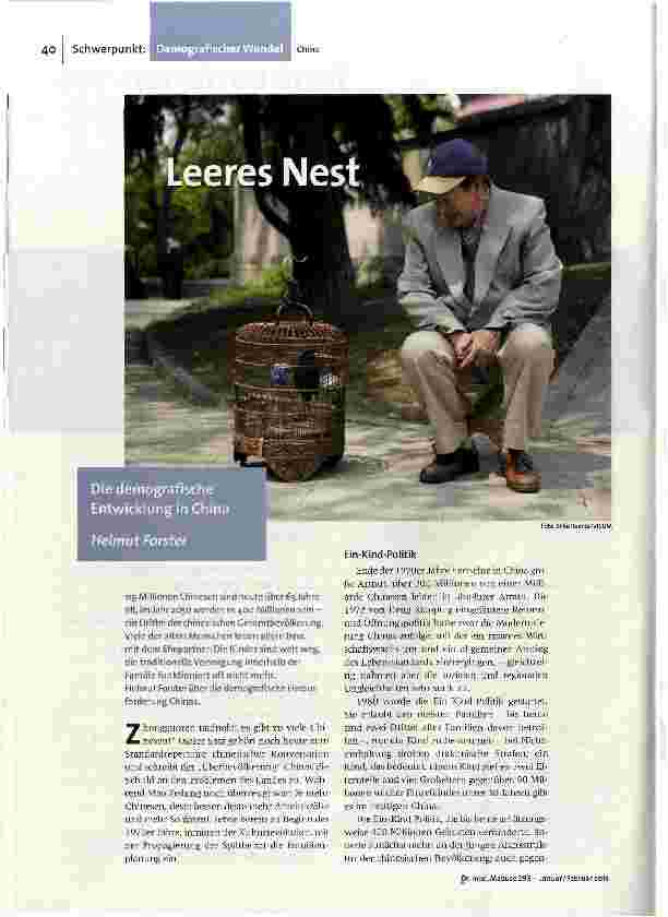 Leeres Nest