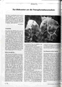 Zur Diskussion um die Transplantationsmedizin