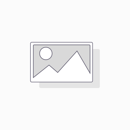 [doc_200733] Das Schweizerische NetzwerkGesundheitsfördernderSchulen